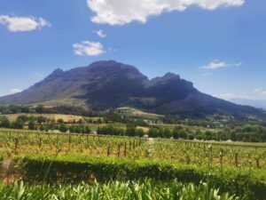 WhatsApp Image 2025-01-28 at 11.14.19_2c7be0d1